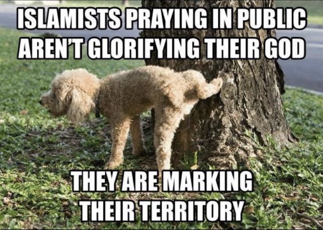 NoMoreGulags tweet media