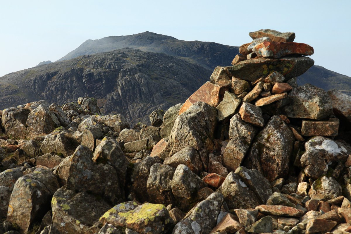 Mrs Walker-214 tweet media