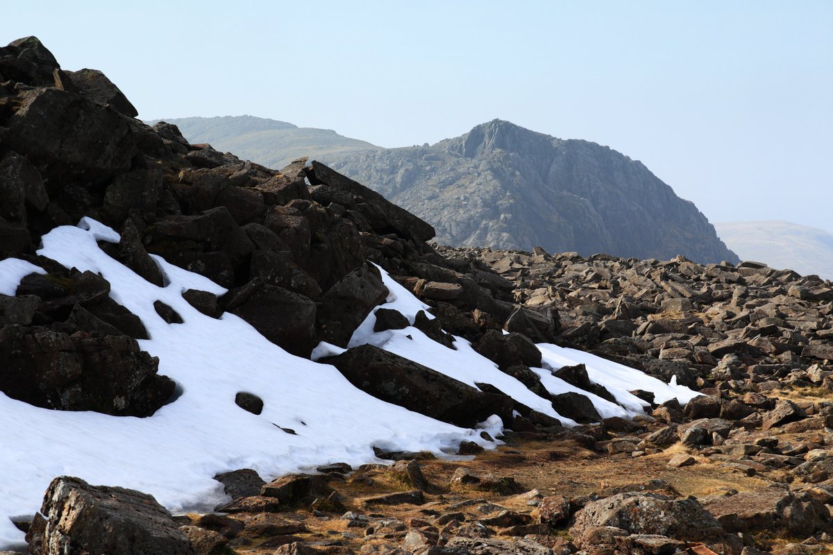 Mrs Walker-214 tweet media