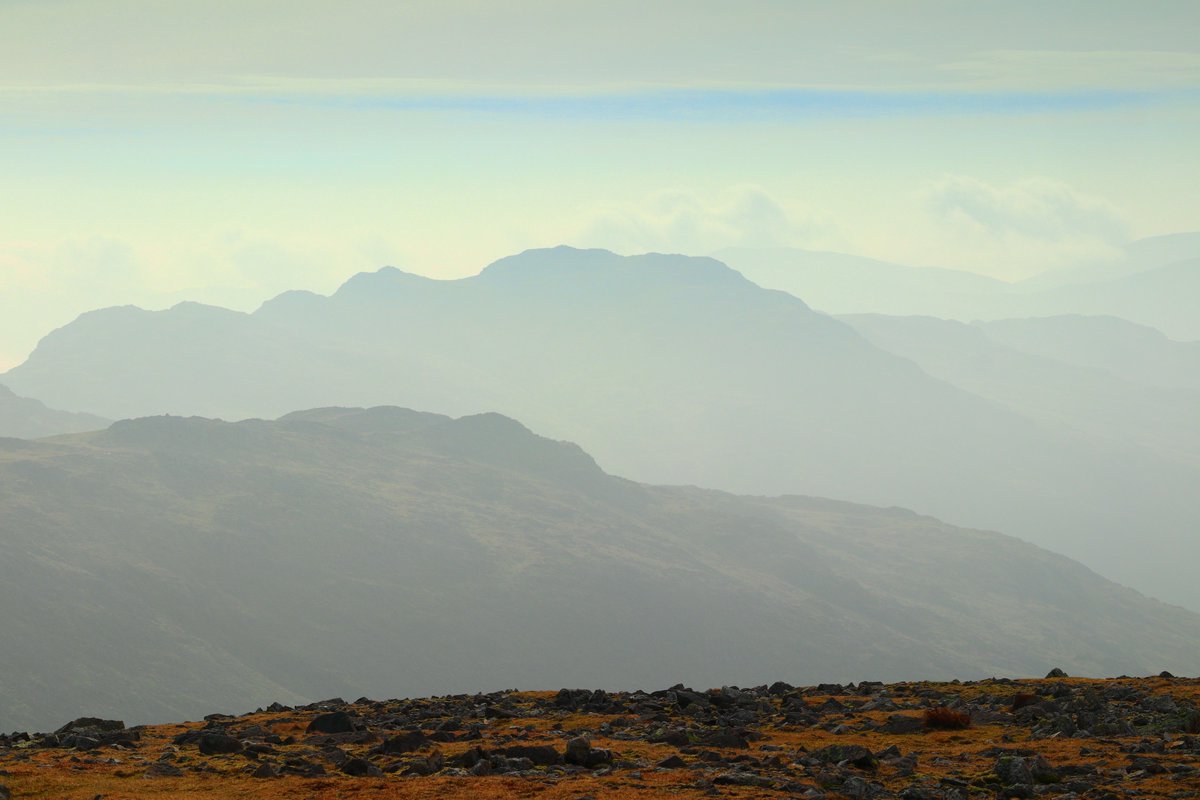 Mrs Walker-214 tweet media