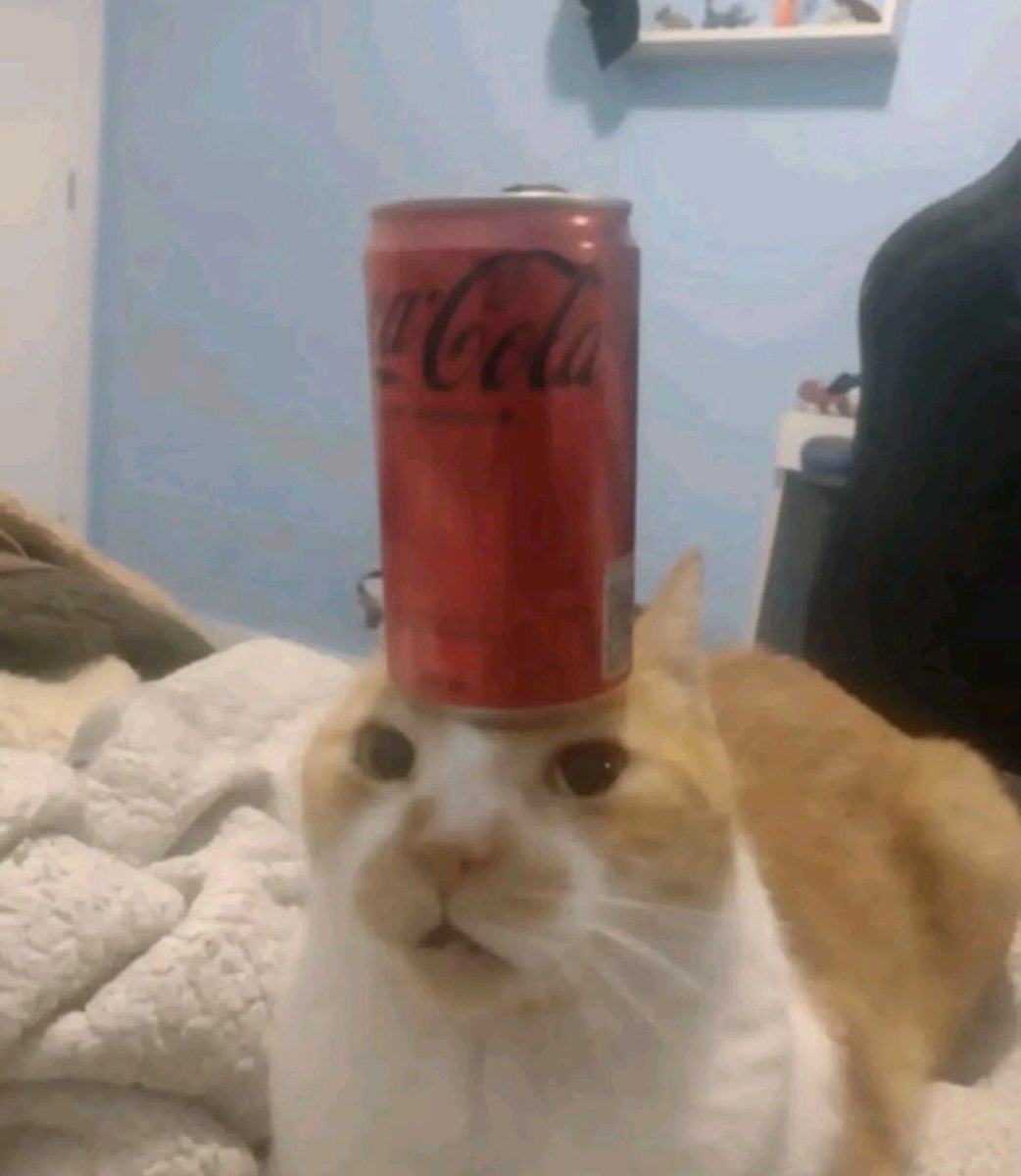 BaikalCommunityOutOfContext tweet media