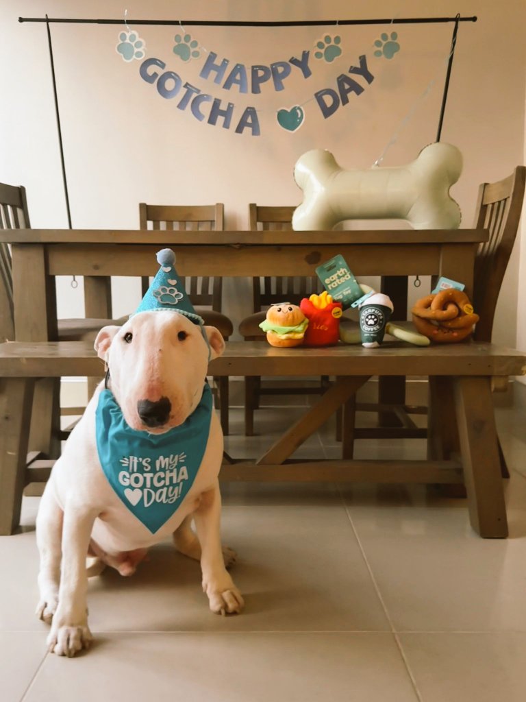 Johnny_barnes10 tweet media