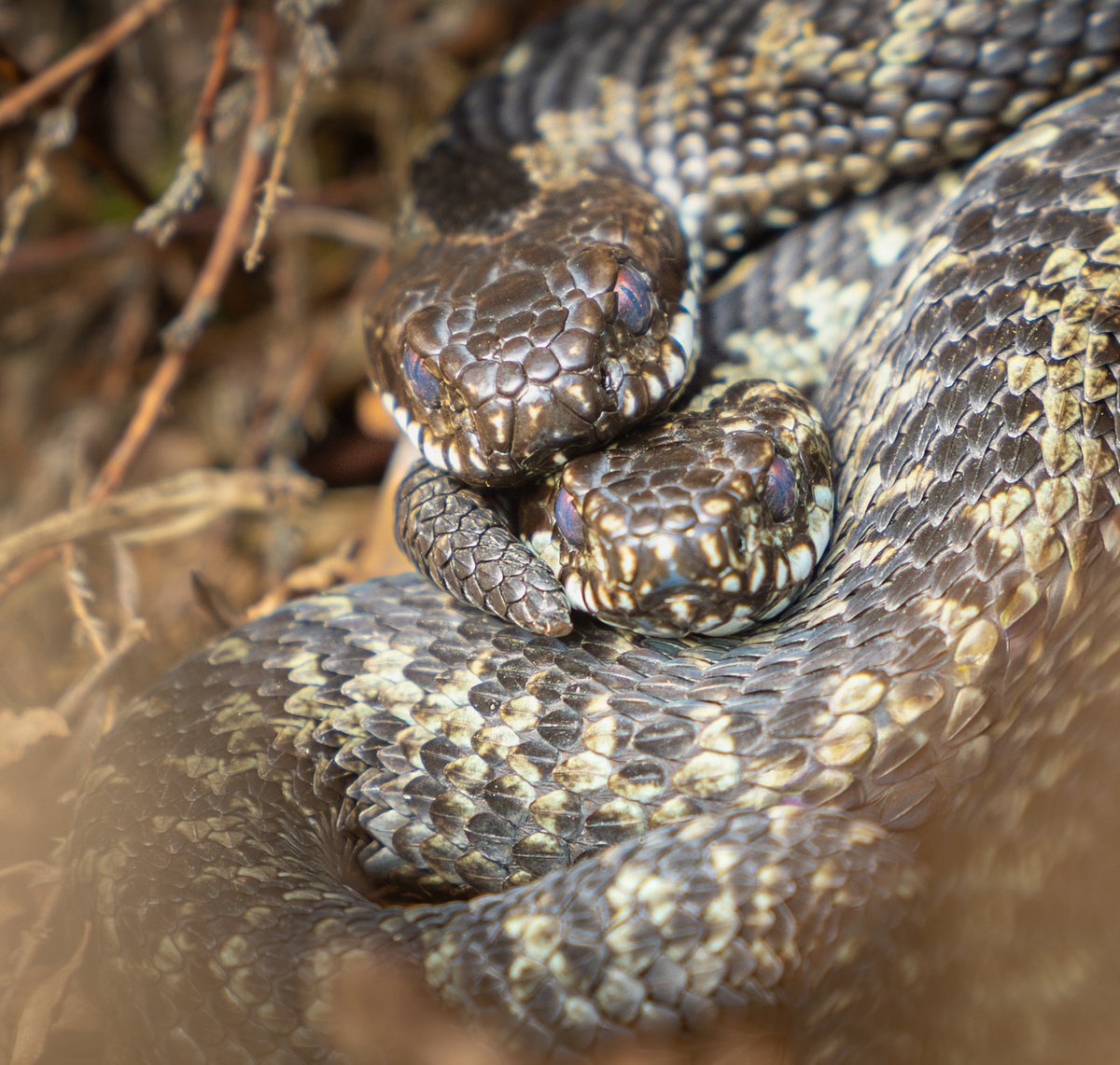 Stephen jones tweet media