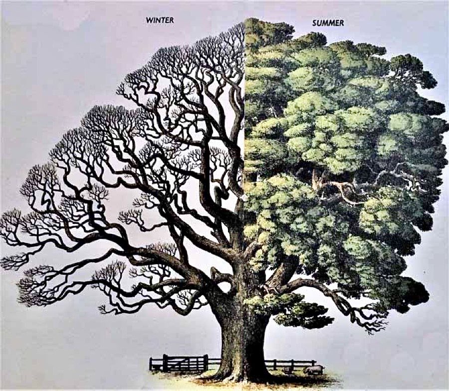 Helen Day tweet media