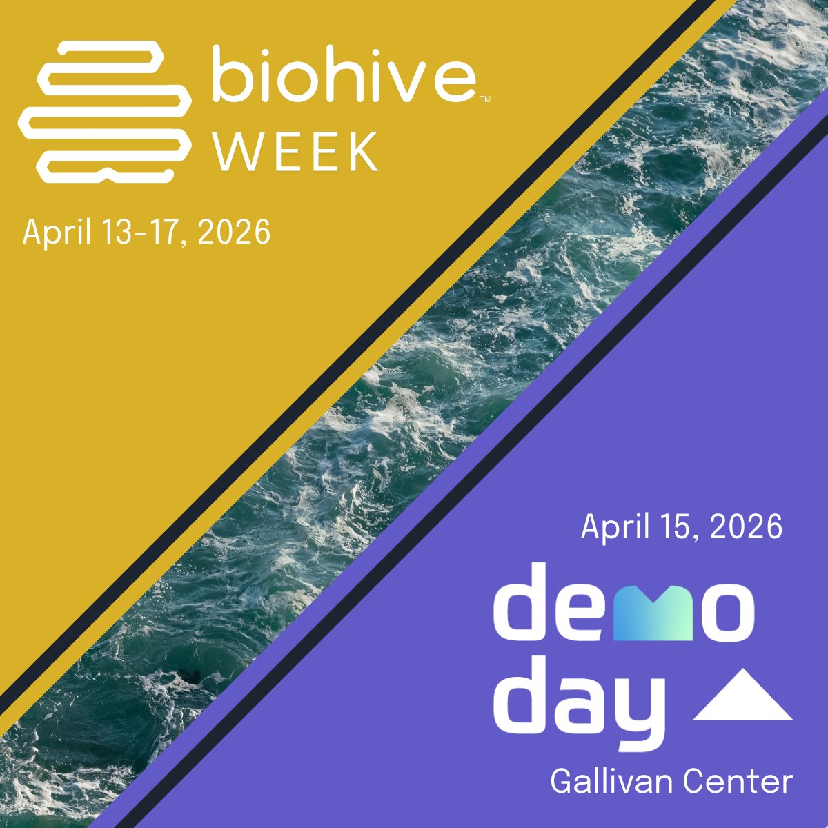 Altitude Lab tweet media