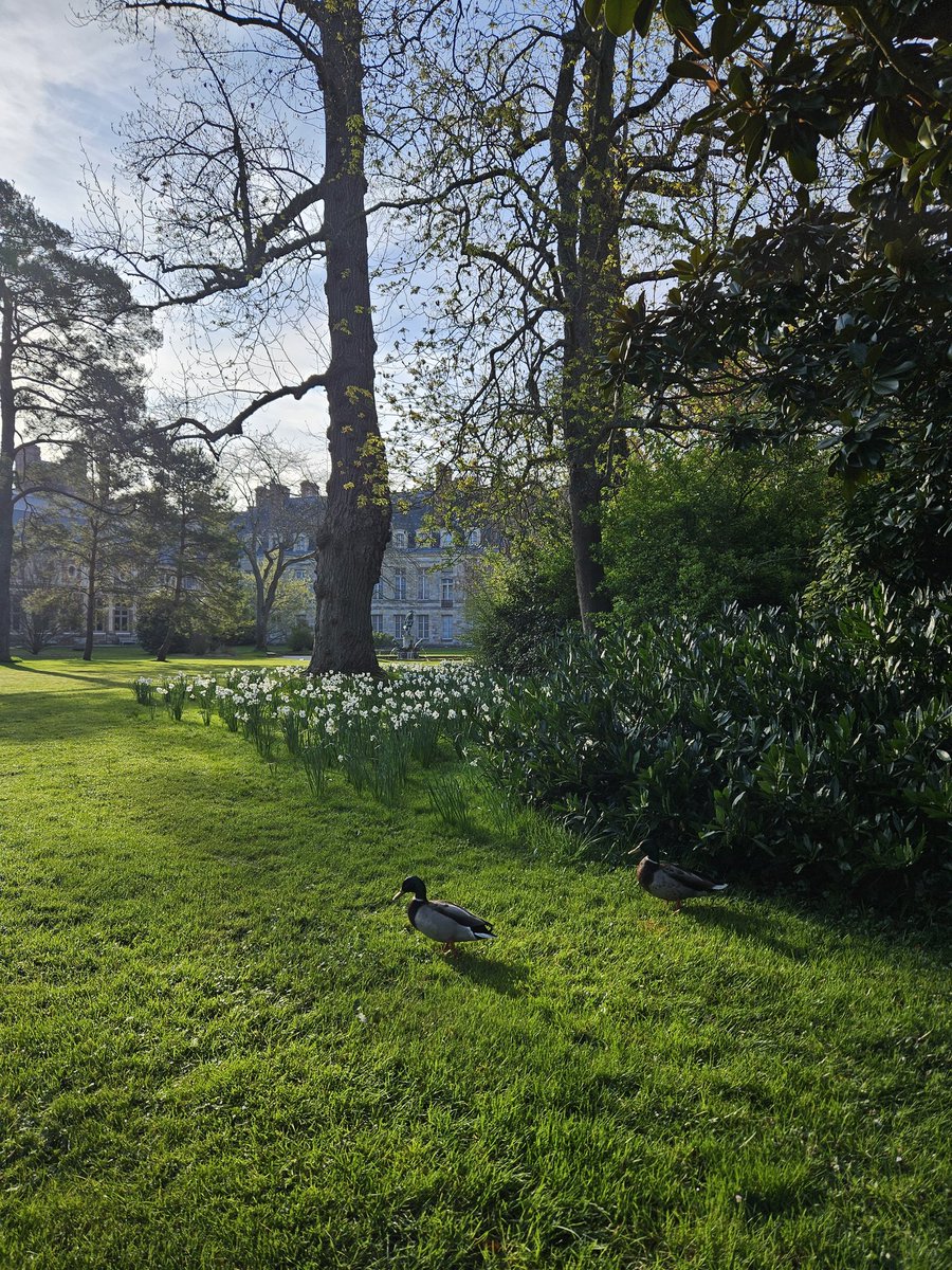 CFontainebleau's tweet image. 🔴 𝗕𝗼𝗻𝗷𝗼𝘂𝗿 𝗹𝗲 𝗽𝗿𝗶𝗻𝘁𝗲𝗺𝗽𝘀 ! 🌼🌸
Nous n'avons rien contre l'hiver, mais il faut quand même l'avouer... l'arrivée du #Printemps fait toujours du bien ! 🪻
🌐 chateaudefontainebleau.fr