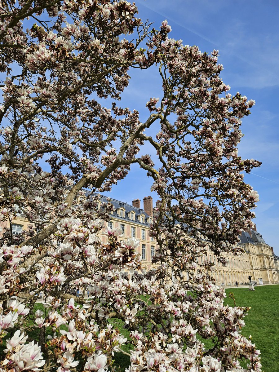 CFontainebleau's tweet image. 🔴 𝗕𝗼𝗻𝗷𝗼𝘂𝗿 𝗹𝗲 𝗽𝗿𝗶𝗻𝘁𝗲𝗺𝗽𝘀 ! 🌼🌸
Nous n'avons rien contre l'hiver, mais il faut quand même l'avouer... l'arrivée du #Printemps fait toujours du bien ! 🪻
🌐 chateaudefontainebleau.fr