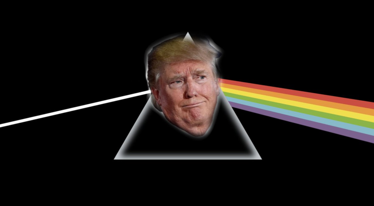 Zara Zee tweet media