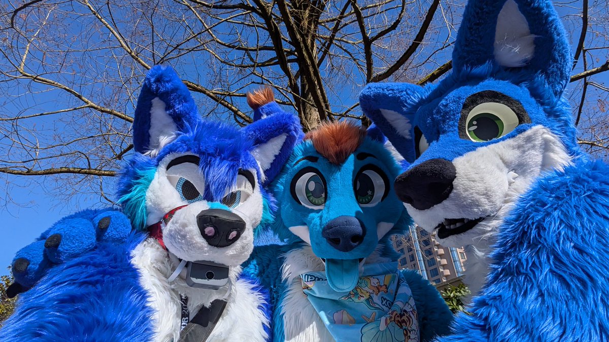 Wolfpen/Maclod SFW tweet media