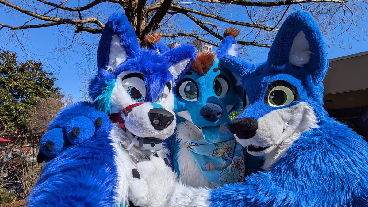 Wolfpen/Maclod SFW tweet media