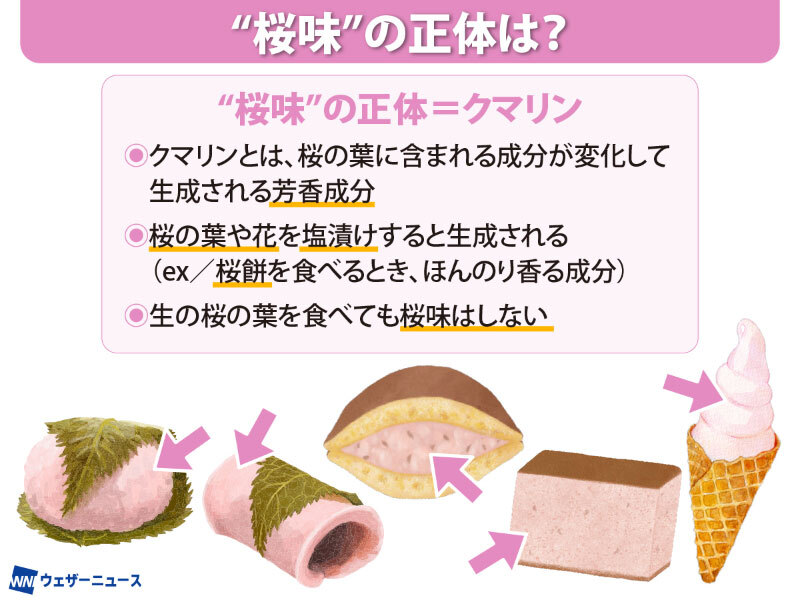 ウェザーニュース tweet media