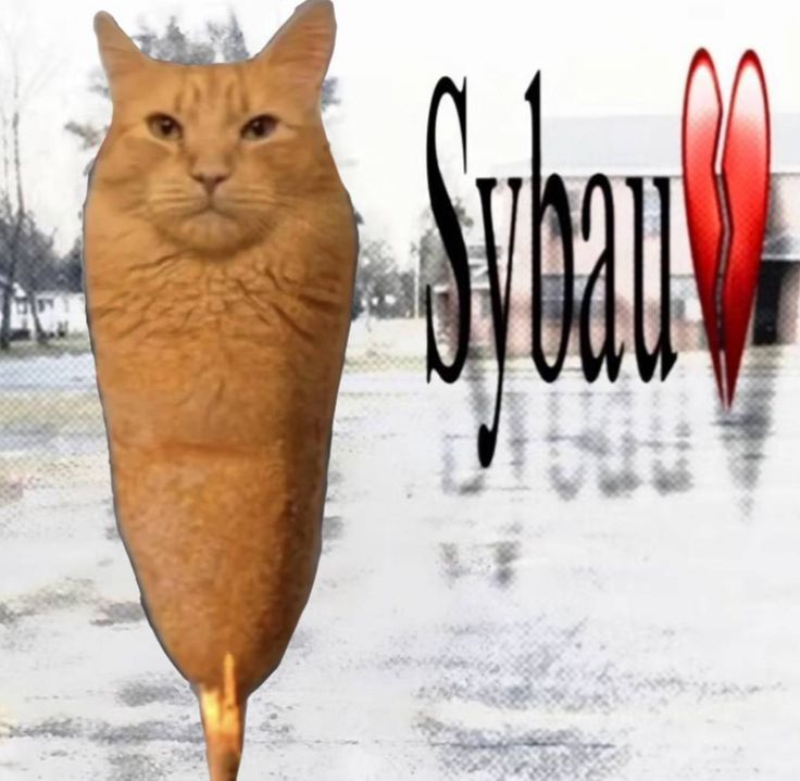 midnight tweet media