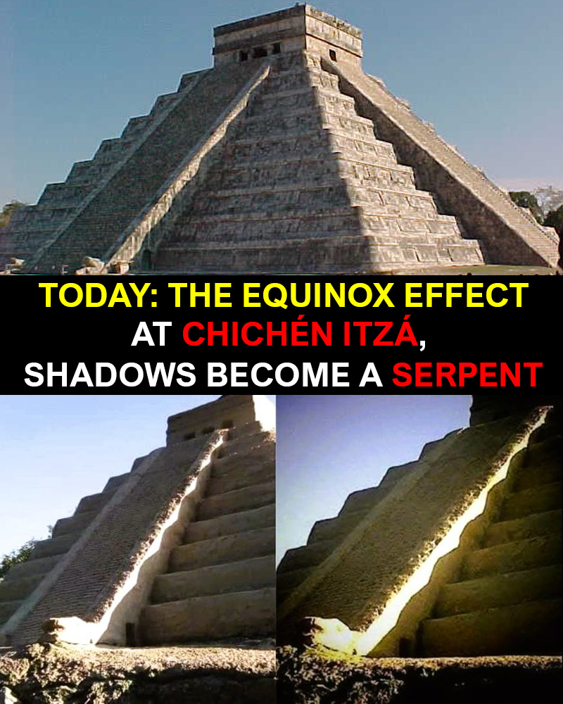 Architecture & Art tweet media