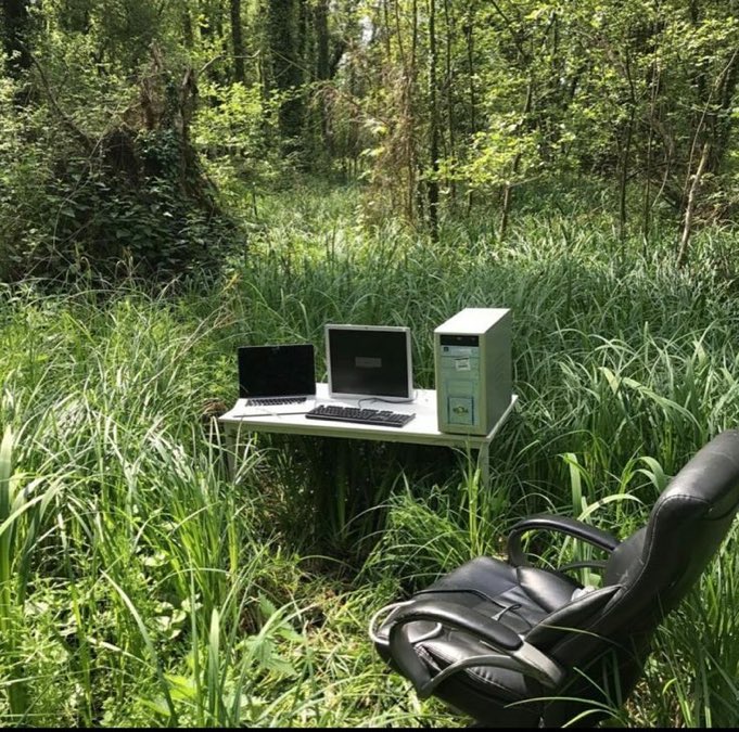 Website Developer Nigeria tweet media