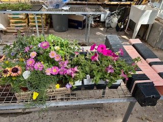 Midland Legacy High School tweet media