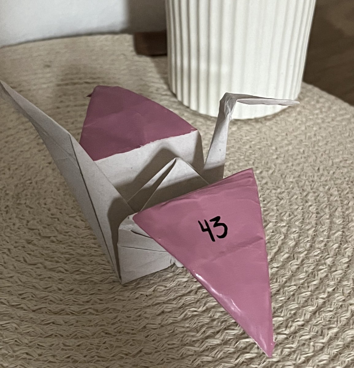 agustina tweet media