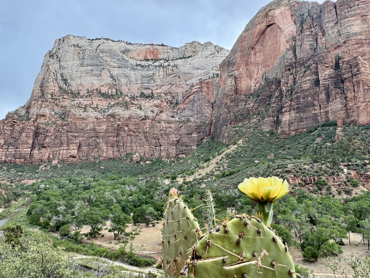 NotDeadYet tweet media