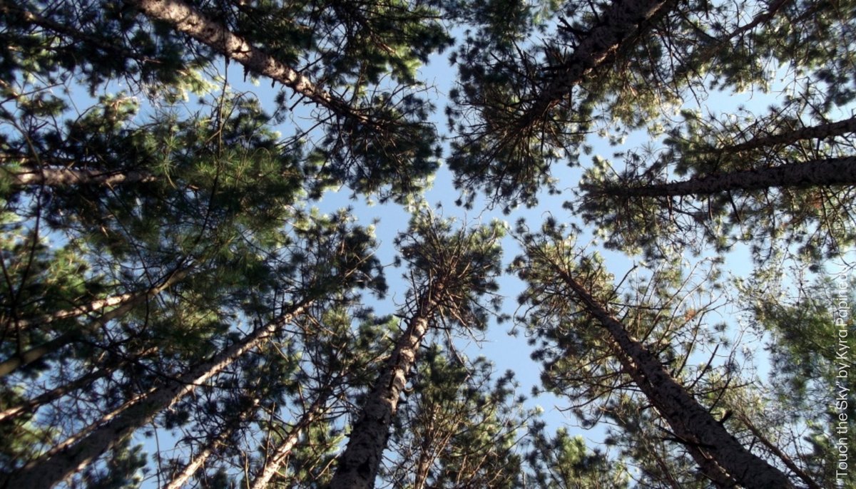 The Roberta Bondar Foundation tweet media