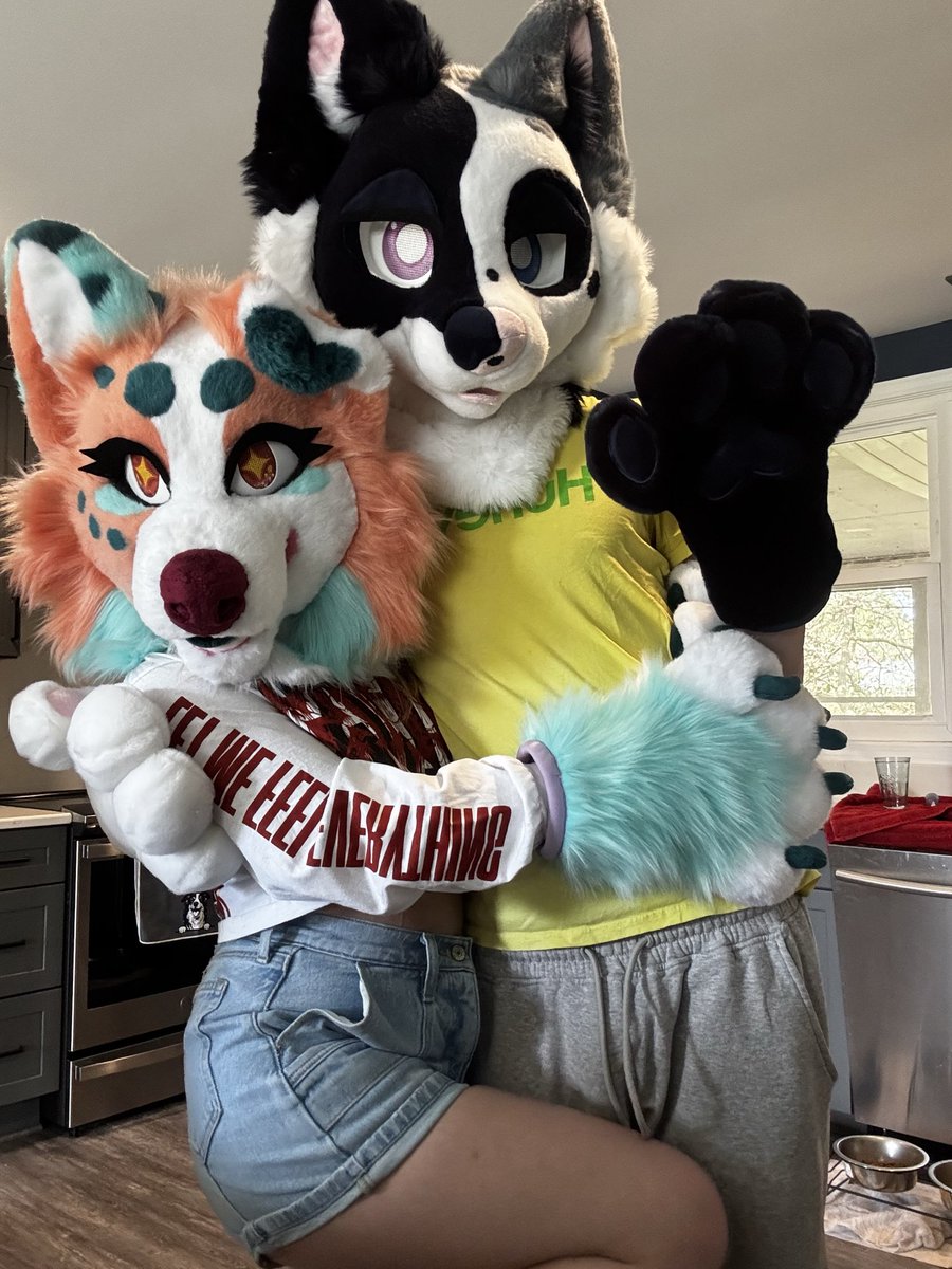 Hyrja 🔜 Bewhiskered tweet media