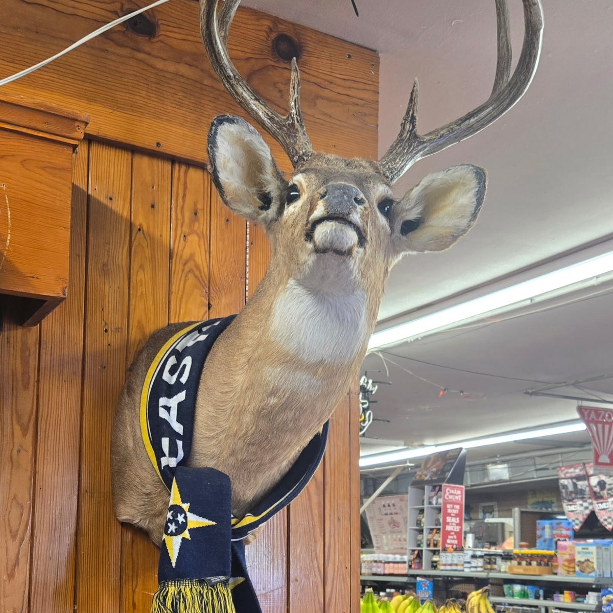 Eastern Front Supporters Group tweet media