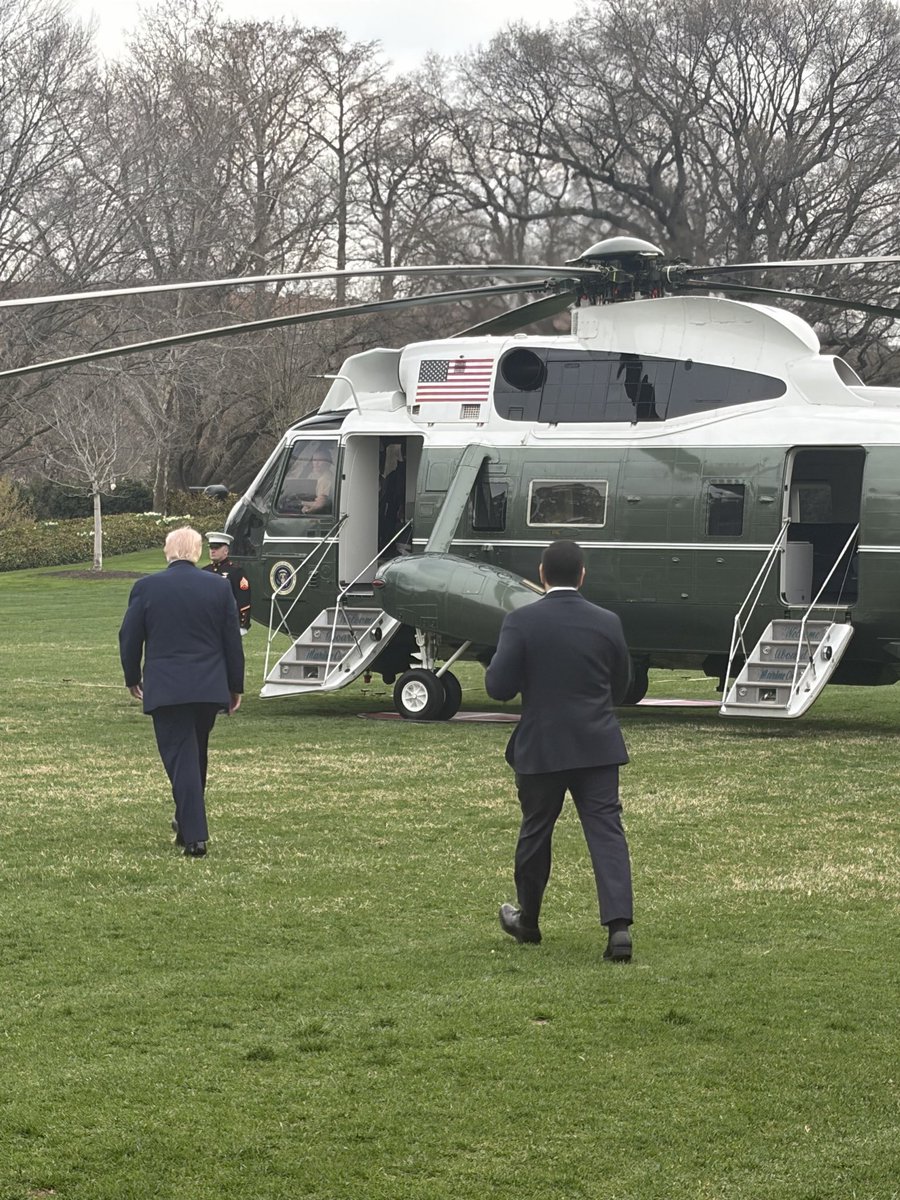 Alayna Treene tweet media