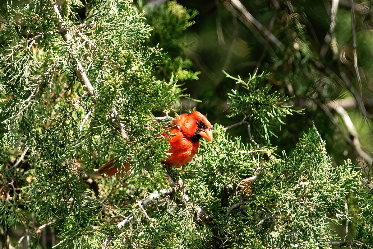 The Only James Magelk tweet media