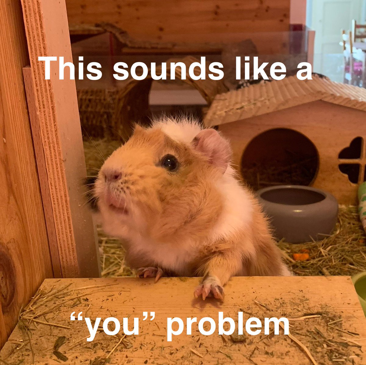 pilipalagwyn's tweet photo. Fun fact, wenn deine erste Reaktion auf die Christian Ulmen/Collien Fernández-Thematik weinerliches Gegreine nach dem Motto „Na toll, jetzt sind wieder alle Männer die Bösen“ ist, bist du Teil des Problems 😘 https://t.co/J9n6wrpGPi