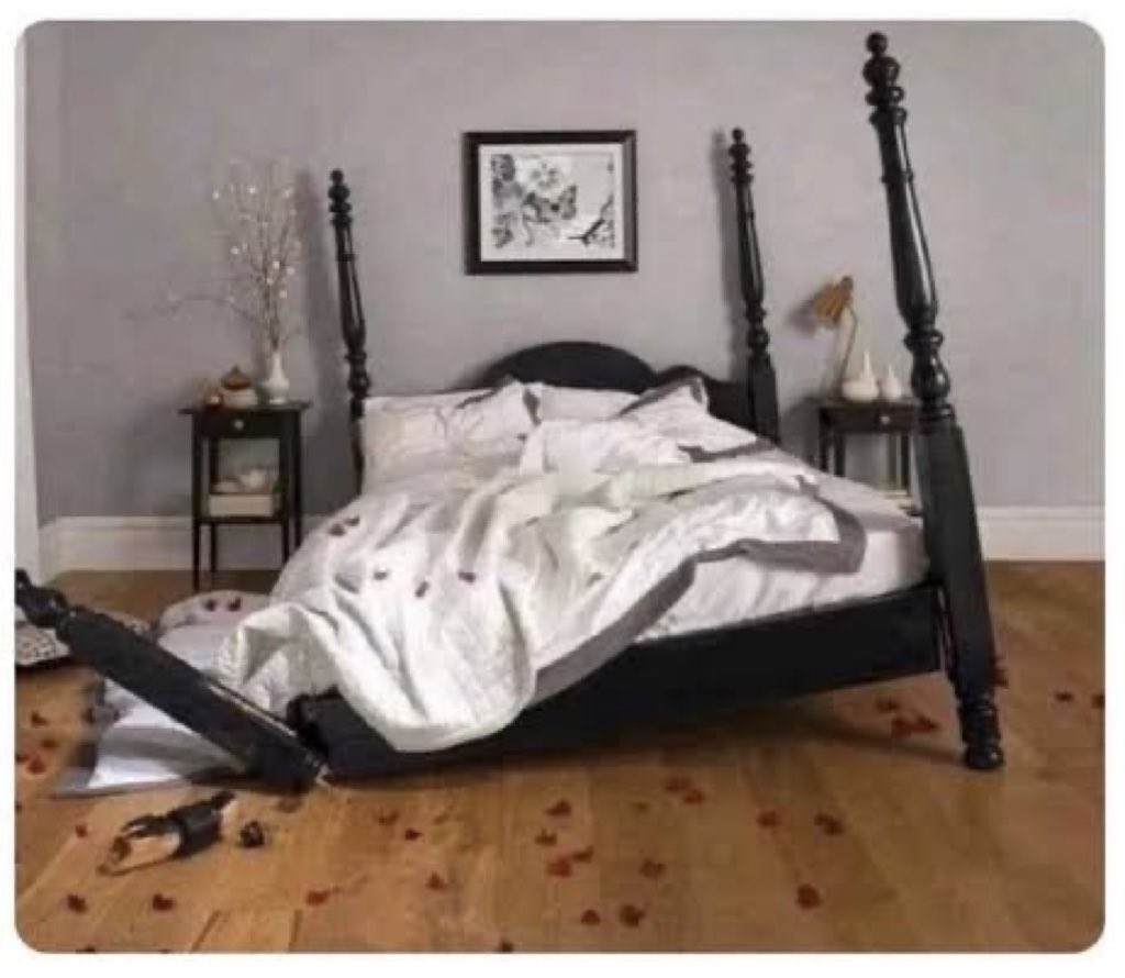 حاجی شائن سٹائن tweet media