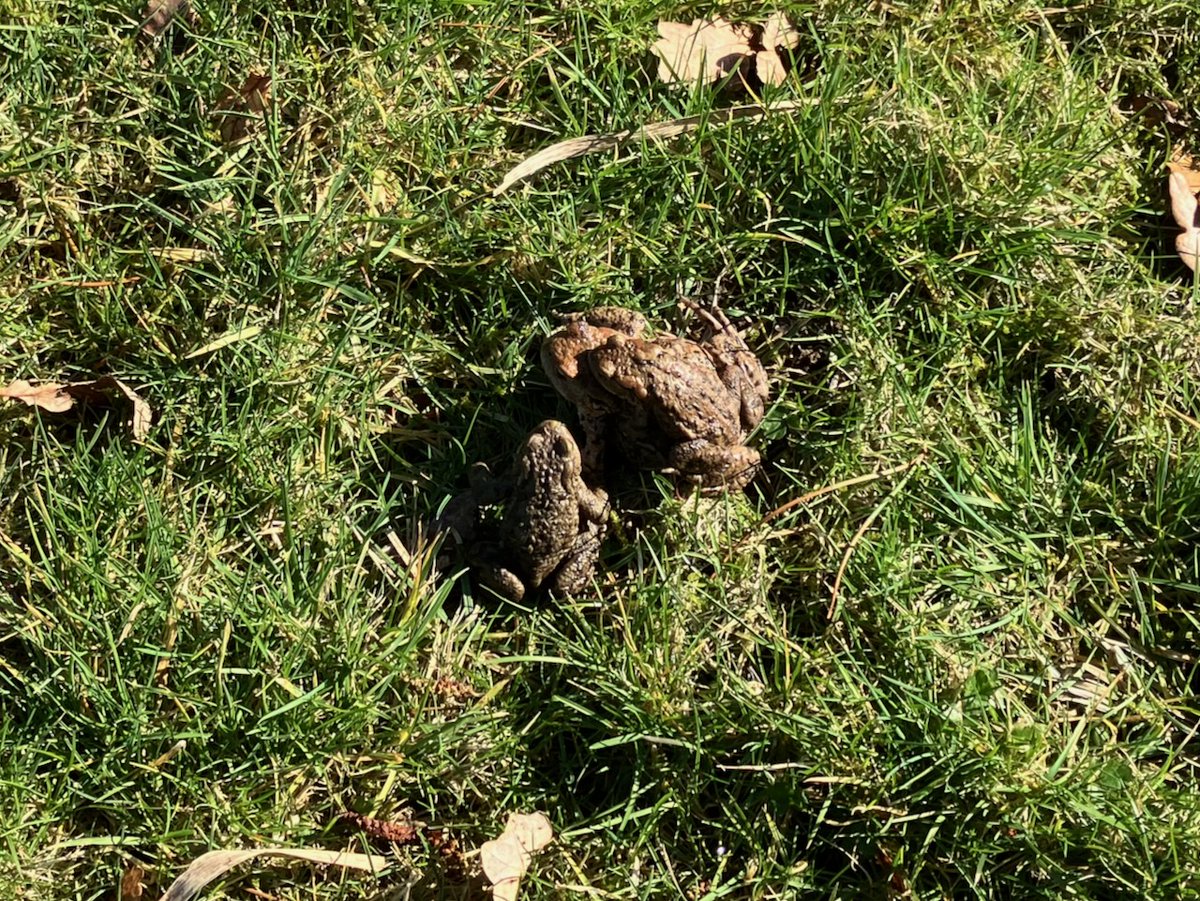 David Ward tweet media