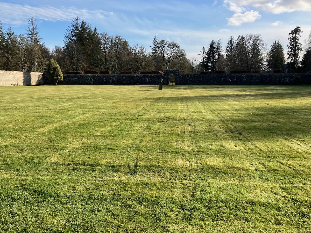 David Ward tweet media