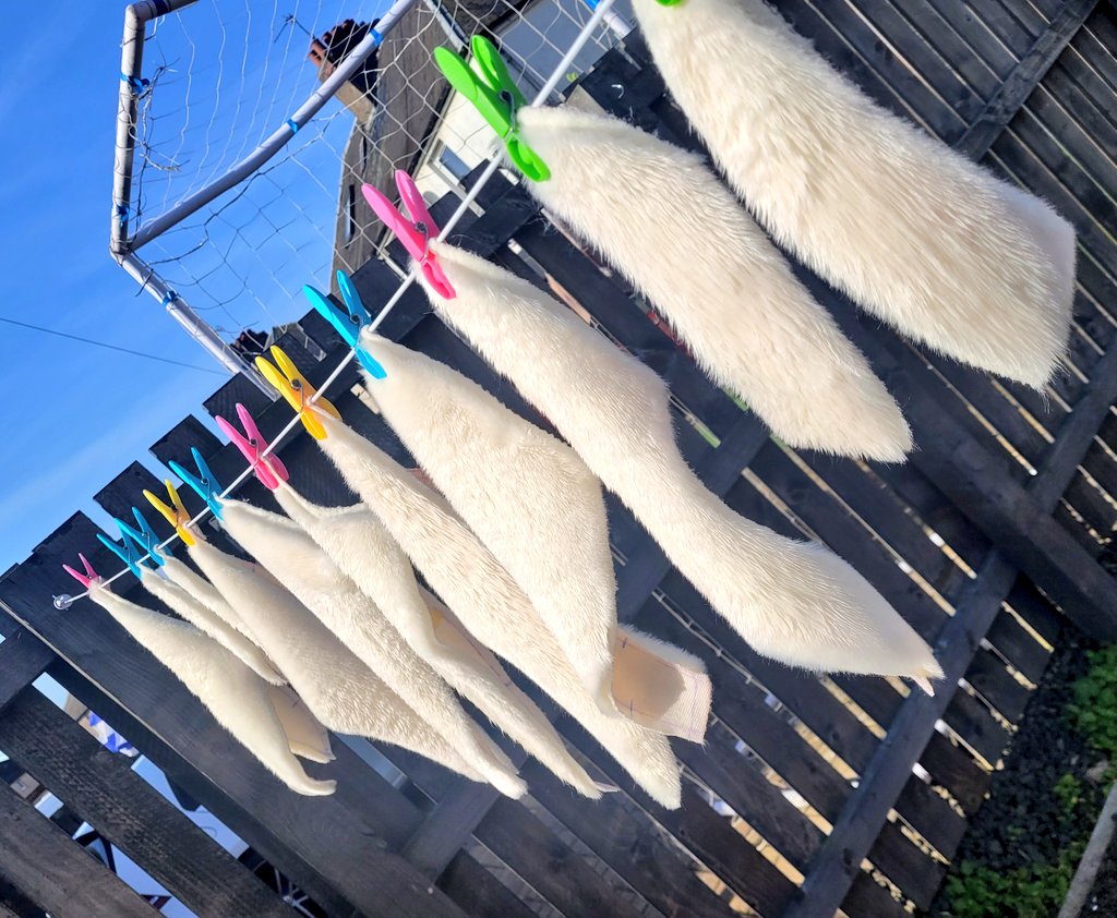 Selkie Suits tweet media