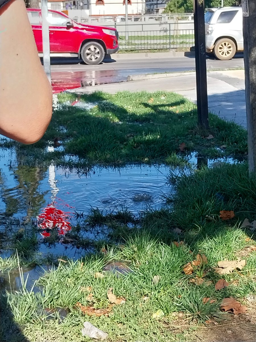 BitterSweet 🇨🇱 tweet media