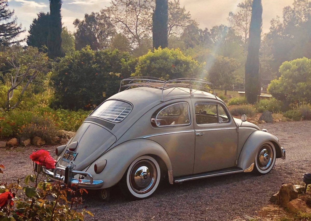 Carter VW tweet media