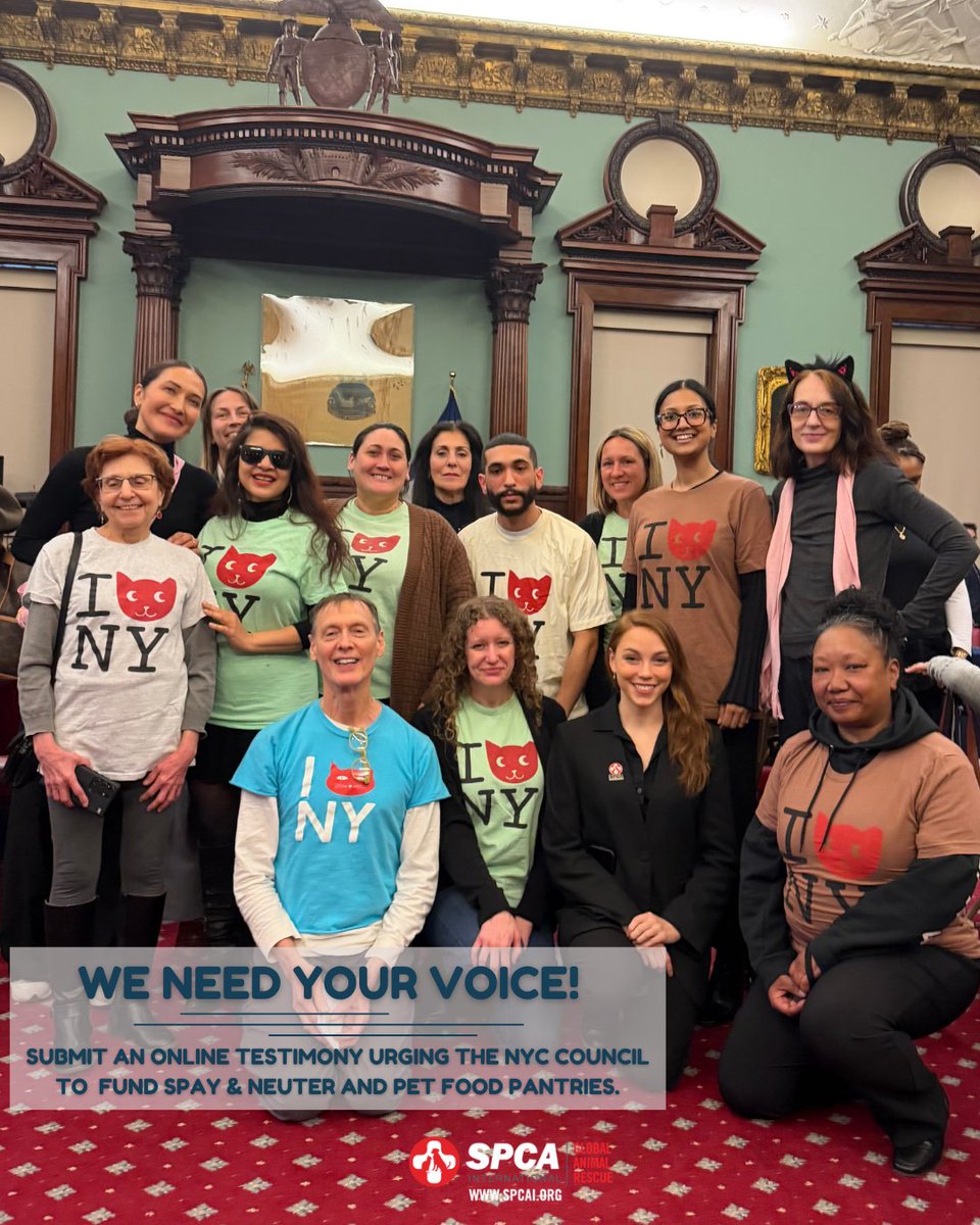 SPCA International tweet media