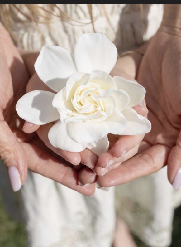 Princess CarParkle 👑 tweet media