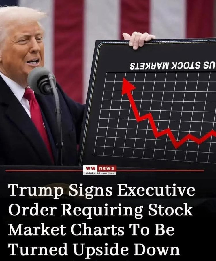 concisely cogent commentary tweet media