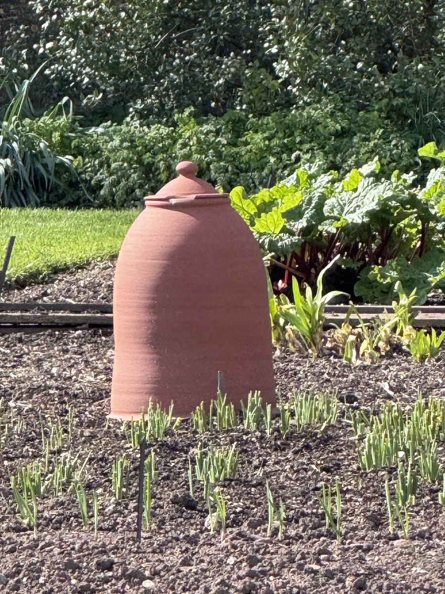 Zing Tours tweet media