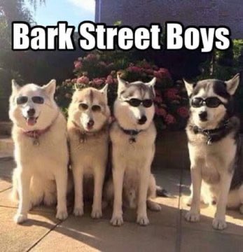 Fi 🇪🇺 tweet media