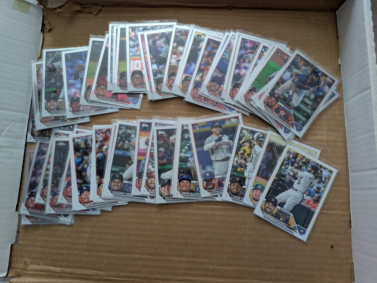 Sarah Elise tweet media