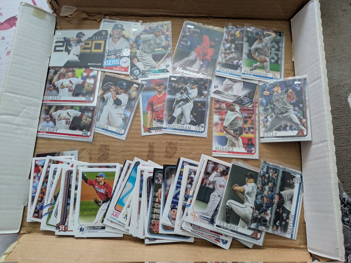 Sarah Elise tweet media