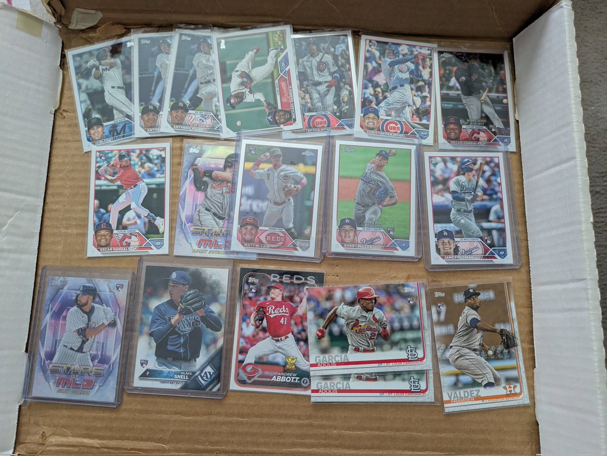 Sarah Elise tweet media