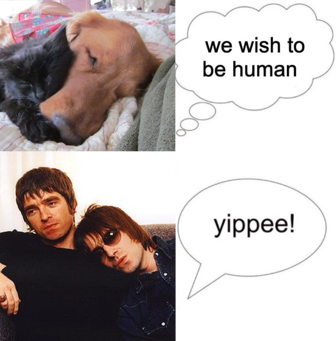 ANON ！Σ(￣□￣;) tweet media