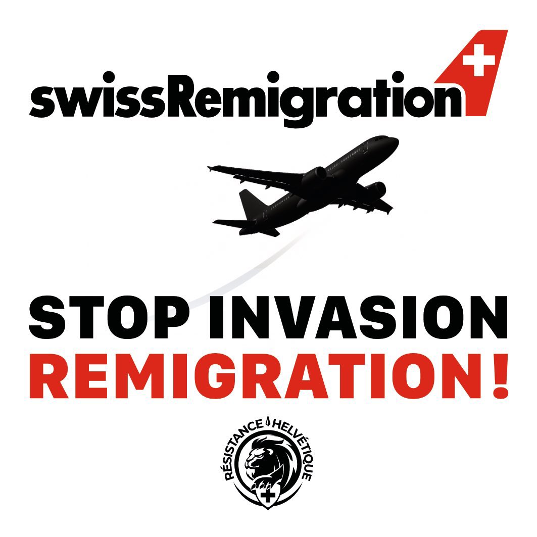 DocHarry tweet media