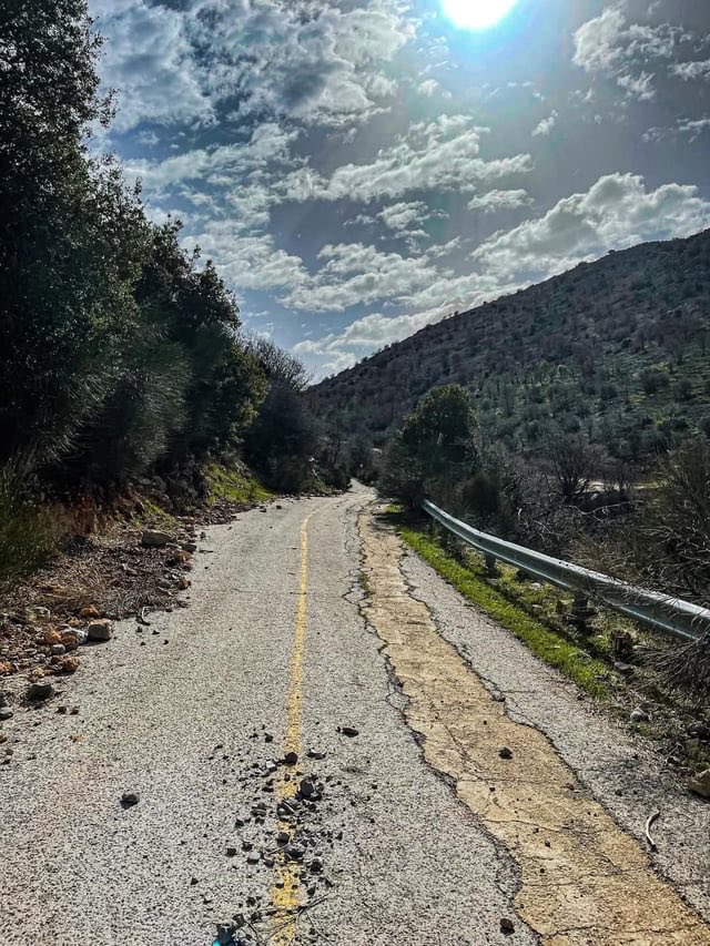 Maya Mikdashi tweet media