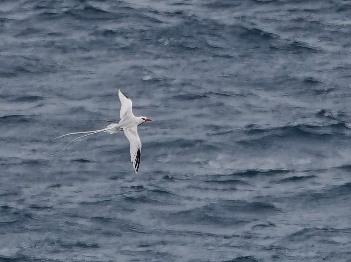 Neill Hunt tweet media