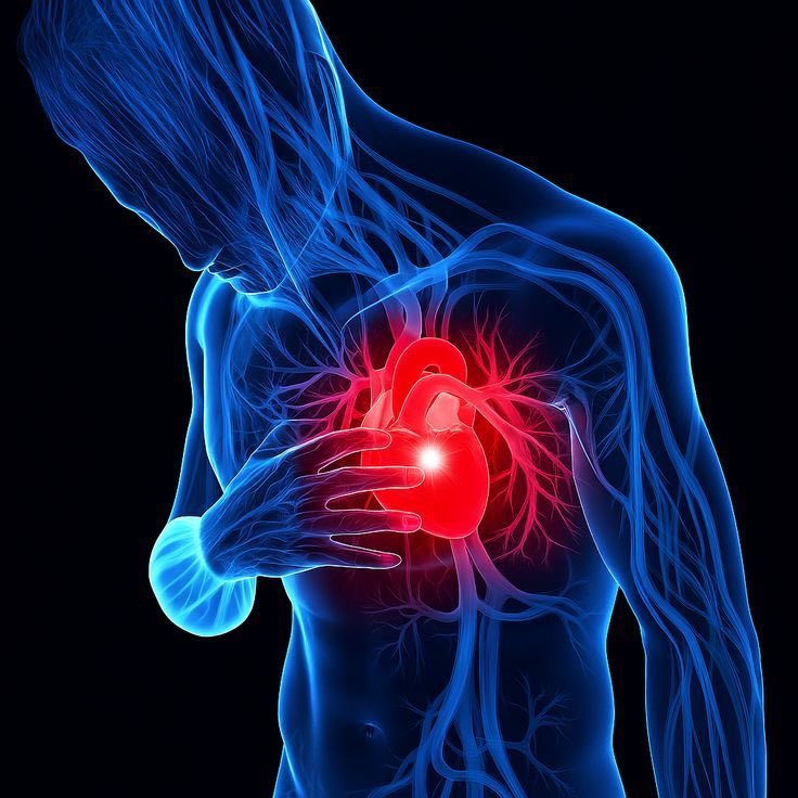 alfred 🍀 tweet media