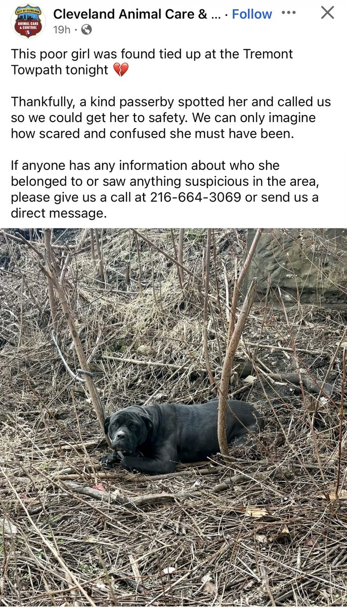 Matt Fontana tweet media