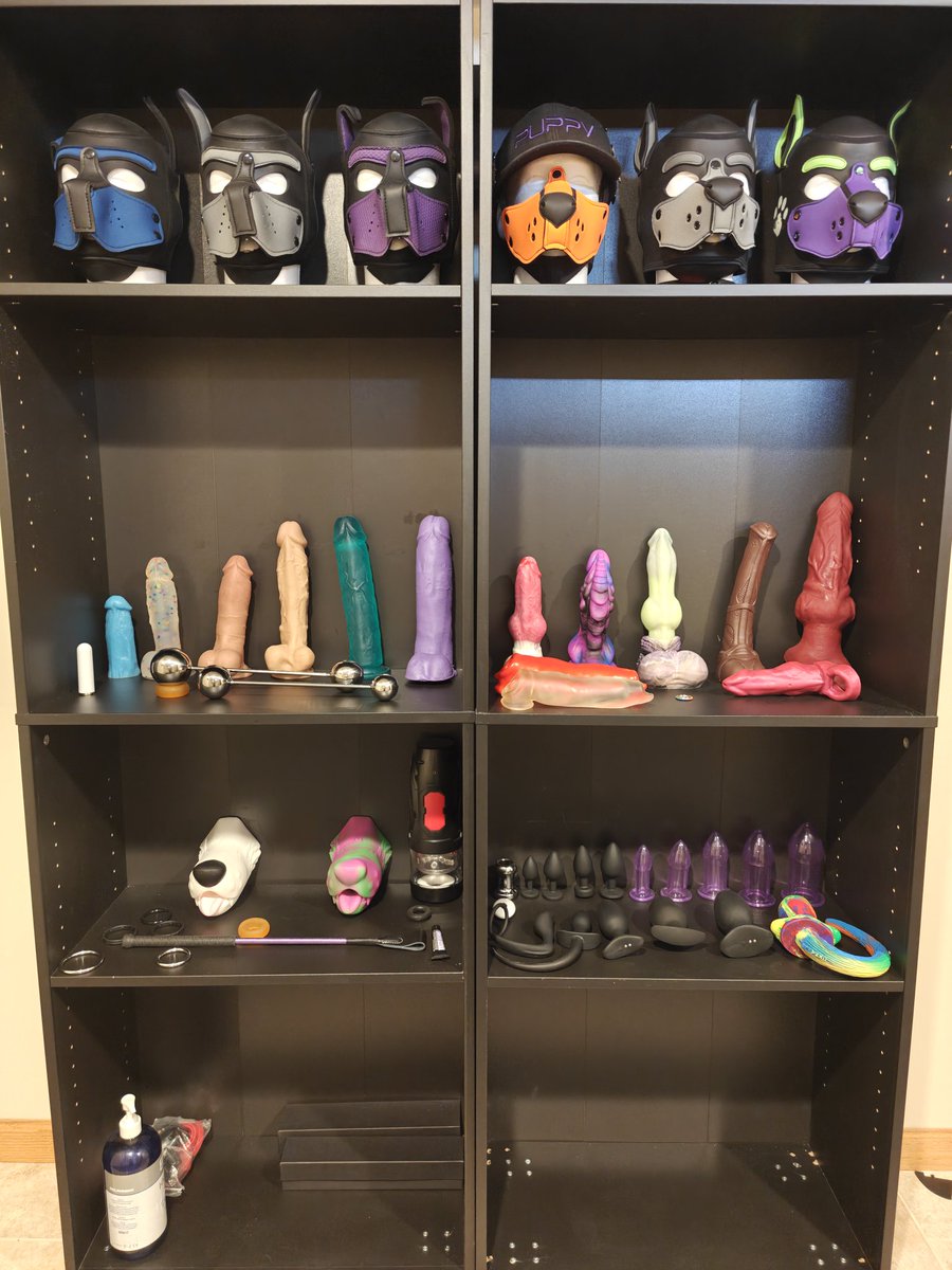 Shadow the Wusky tweet media