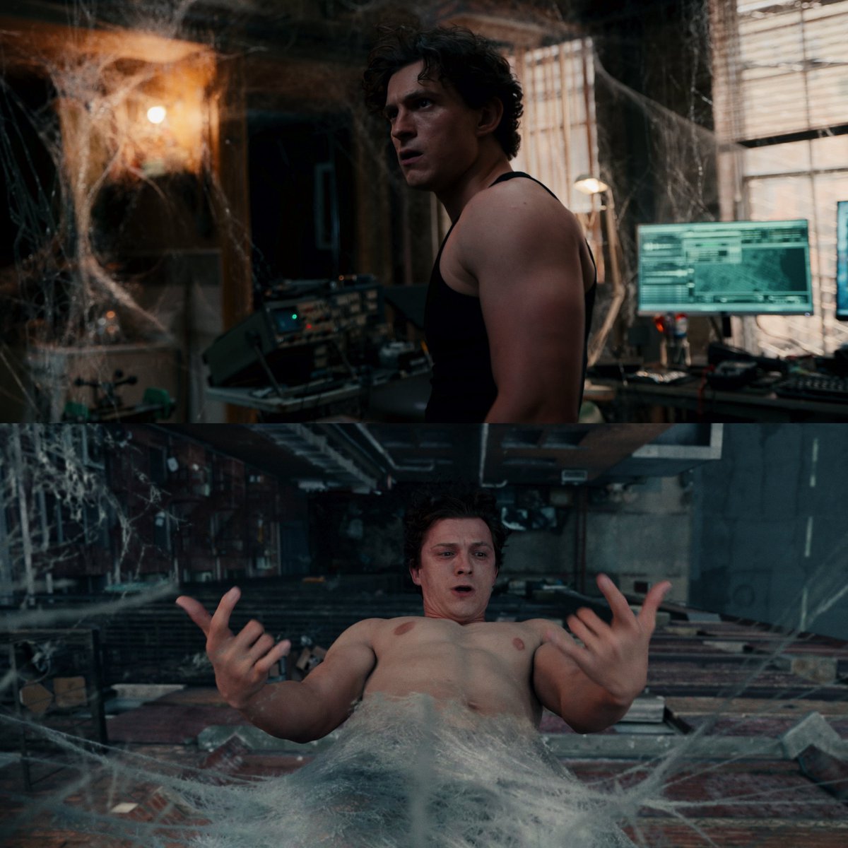 spiderbat tweet media