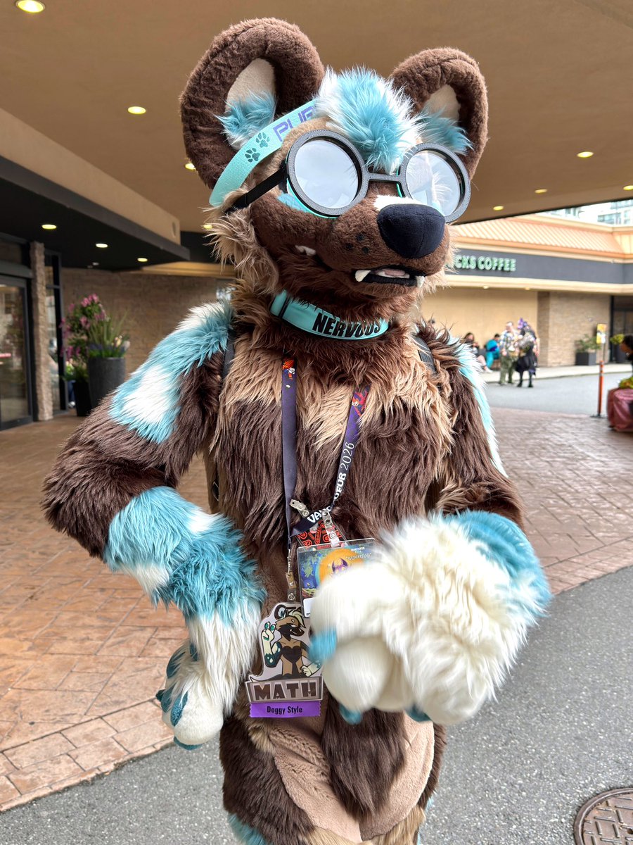 math 🔜 lvfc tweet media